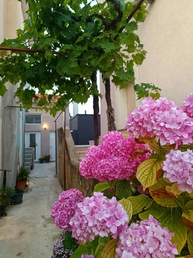 Apartman Gallery Freya Zadar Luaran gambar
